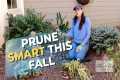 Fall Shade Garden Guide: Prune Smart, 