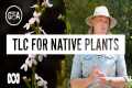 Native Plant Care Made Easy |