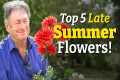 5 Stunning Late Summer Flowers You