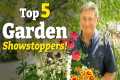 Top 5 Showstopping Plants to