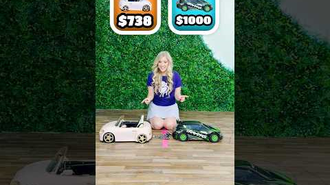 $1 vs $1000 RC Car Tug of War 🏎️