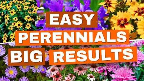 NEW to Gardening? Start with These 20 EASY Perennials! ✅