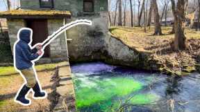 They Said Fishing was TERRIBLE... Then I Caught a NEW PB!!!