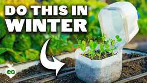 Why Smart Gardeners Plant These 12 Crops in Winter