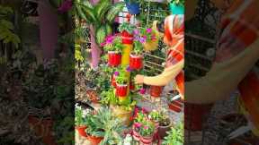 pituniya flowers care #song #nairakajahan #trending #ytshorts #gardening #flowers