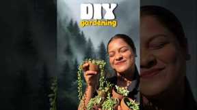 free DIY gardening ideas 💡🌱 #shorts #minivlog #bengali #lifestyle #gardening