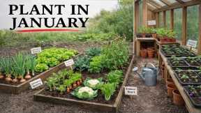 Home Gardening: 10 Plants You Absolutely Must Sow in January - The Easiest to Grow