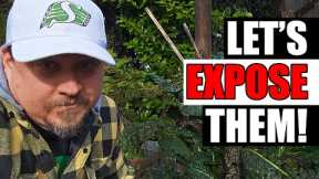 8 Gardening Myths Exposed