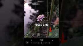 Creative Photography | Tips & Tricks with Phone using Pro Mode oj | Mobile Photography Hacks