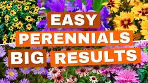 NEW to Gardening? Start with These 20 EASY Perennials! ✅