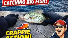 I Found Fish in Freezing Temps… Winter Fishing in Boston