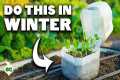 Why Smart Gardeners Plant These 12