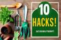 Top 10 Gardening Hacks Every Beginner 