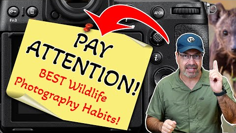 10 Habits That Will Instantly Improve Your Wildlife Photography