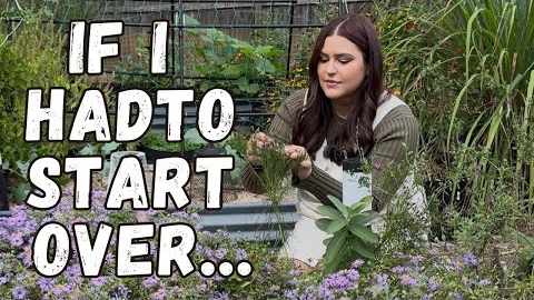What I Wish I Knew Before I Started Gardening
