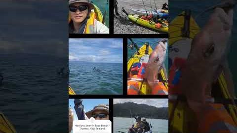 Fishing at Tapu Beach New Zealand #newzealand #fishing  #kayakfishing