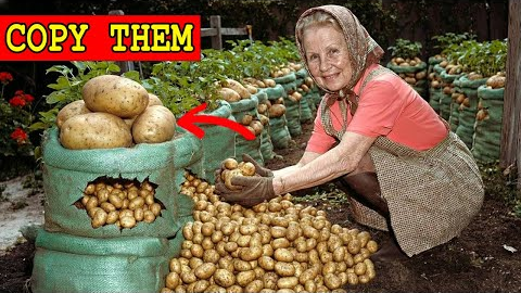 33 Old Gardening Hacks for Seniors To Grow More With Less Work