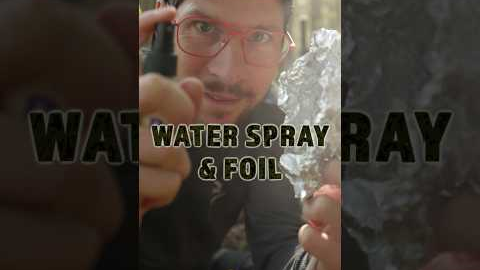 Macro Photography Hacks: Spray Bottle & Aluminum Foil #macrophotography #canonrf