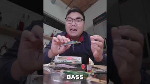 This is the bait to fish from winter through the spring #fishbait #anglerfishes