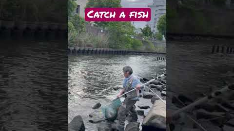 An awesome beautiful moment- A Japanese fishing hobbyist catching a fish live #japanshorts #fishing