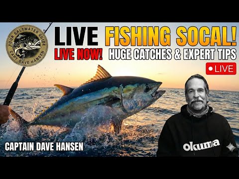 Live Fishing in Mexico WITH YOURSALWATERGUIDE