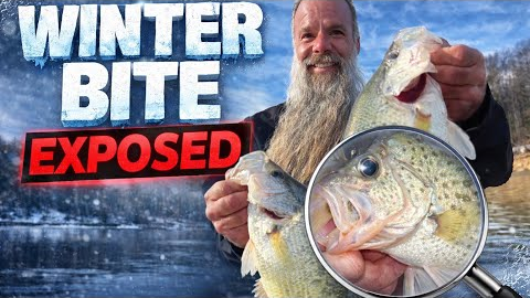 Most Anglers Fail at Winter Crappie Fishing— Here’s Why
