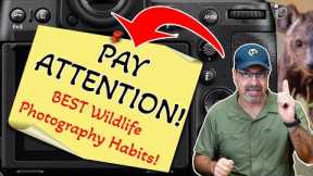 10 Habits That Will Instantly Improve Your Wildlife Photography