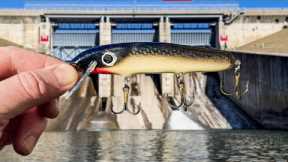 The Fish of my DREAMS was Inside This Spillway!!! (New PB)