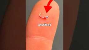 I Tested the SMALLEST Fishing Lure 🐟🎣