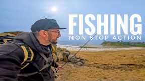 5 Halibut in 1 Hour?! INSANE Surf Fishing in SoCal