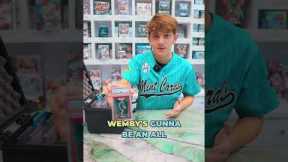 STAFF COLLECTION SPOTLIGHT