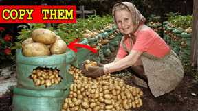 33 Old Gardening Hacks for Seniors To Grow More With Less Work