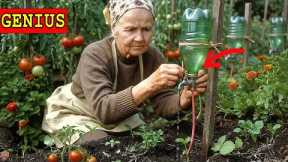 25 No-Tool Gardening Hacks to Grow More and Work Less