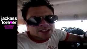 Jackass - Kosick Antiques Erin