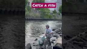 An awesome beautiful moment- A Japanese fishing hobbyist catching a fish live #japanshorts #fishing
