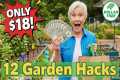 Transform Your Garden for Under $20 | 