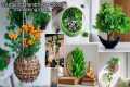 5 Amazing Handmade indoor Gardening