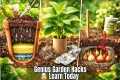 Gardening Hacks That Save Time, Money 