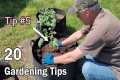 20 Gardening Tips That Any Gardener