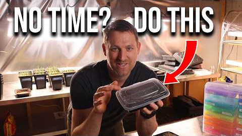 Seed Starting for Busy Gardeners: The Fast & Simple Method I Use