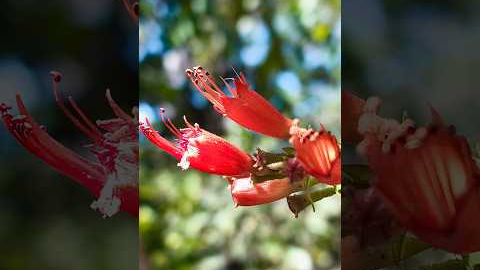 Creative Photography I Tips & Tricks with Phone using Pro Mode 📸 I Mobile Photography Hacks🔥