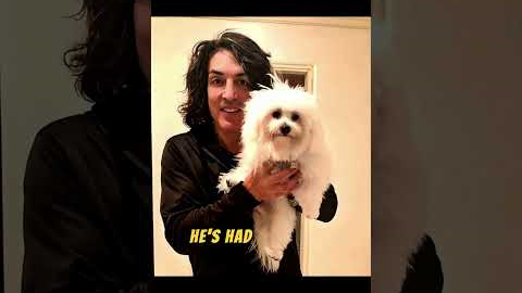 Paul Stanley Life, Hobbies & Passion 🤑🎸 #lifestyle #usa #rock #shorts