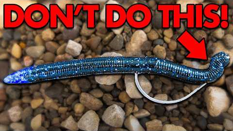 5 Beginner Fishing Mistakes You NEED TO Avoid!