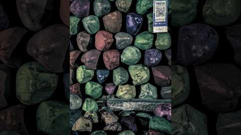 Transform Everyday Objects into Eye-Catching Photos! 📸 | Creative Photography Hacks #PhotographyTips