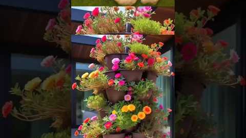 Gardening ideas For Beginners 🌸🌴#gardendecorideas​#plants​#shorts#nature​#satisfying​#flowerplants​
