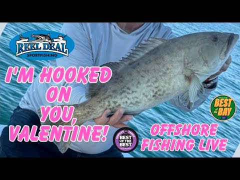 Valentine's Day Fishing 🎣 Clearwater, FL Offshore