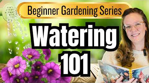 🛑💦 STOP WATERING Your Plants Like This | Beginner Gardening Series Video #11