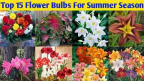 Top 15 Flower Bulbs To Plant In The Summer Season