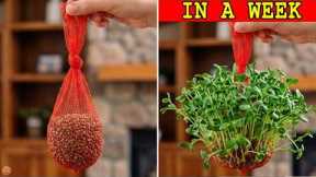 30 Grandma's Indoor Gardening Hacks Make Your Houseplants Thrive