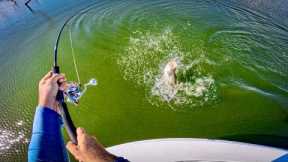 Session Of A Lifetime! Solo Barramundi Sight Fishing POV Madness (part 1/2).